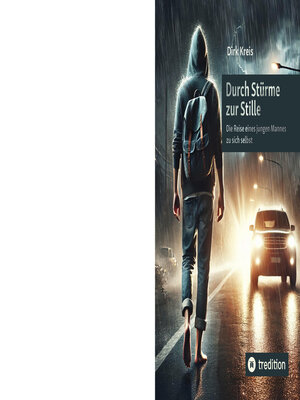 cover image of Durch Stürme zur Stille